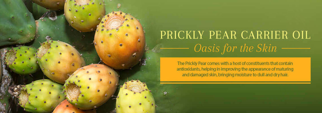 PRICKLY PEAR OIL, Oasis for the skin! - JUSTBLiSS Soap