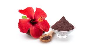 BENEFITS OF HIBISCUS POWDER - JUSTBLiSS Naturals