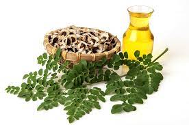 BENEFITS OF MORINGA FOR SKIN - JUSTBLiSS Naturals