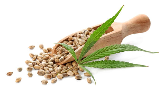 IS HEMP OIL EFFECTIVE IN TREATING SKIN CONDITIONS? - JUSTBLiSS Naturals