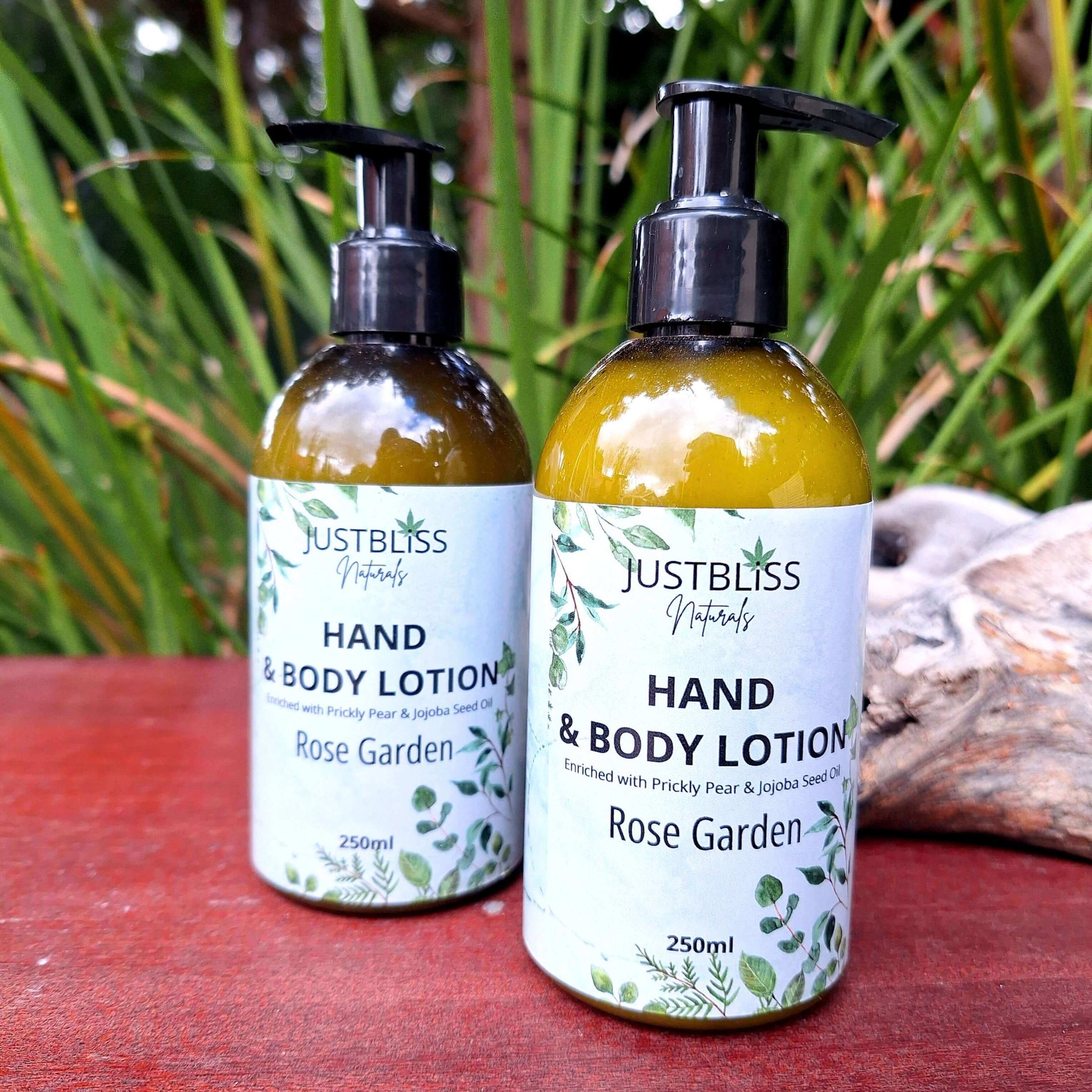 HAND & BODY LOTION: Rose Garden (Geranium) (250ml) - JUSTBLiSS Naturals