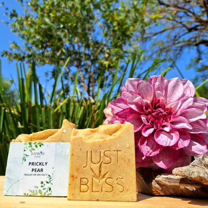 Prickly Pear Natural Soap Bar – Detoxifying, Vegan, Handcrafted