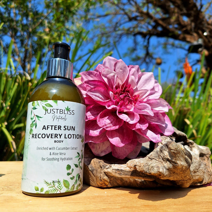 Plant-Based Sun Protection Trio – Face SPF 20, Body SPF 30 & After-Sun Lotion