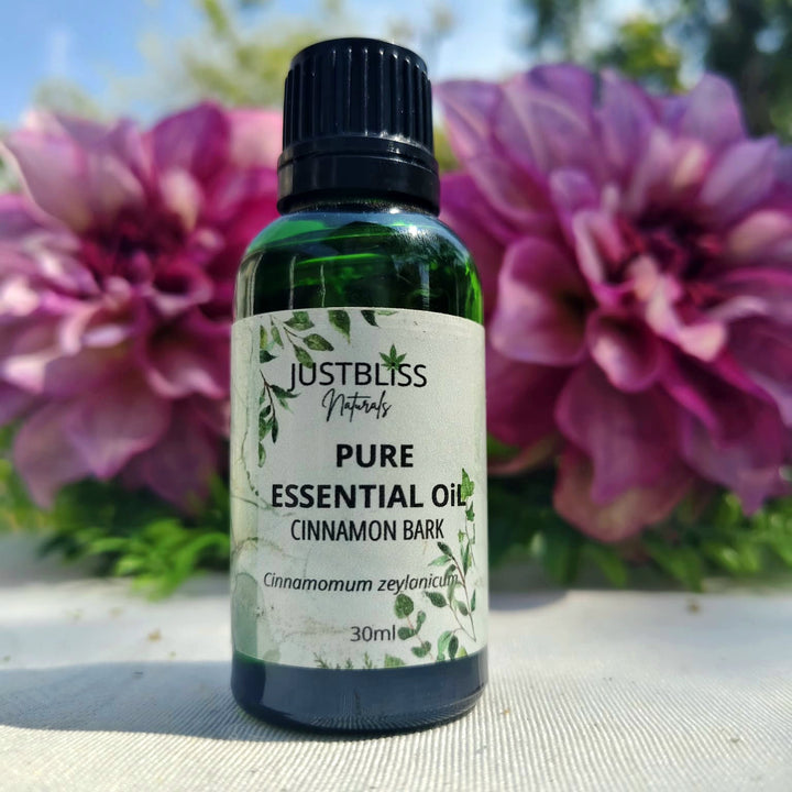 Cinnamon Bark Essential Oil (Standard) – Pure, Warming Aromatherapy