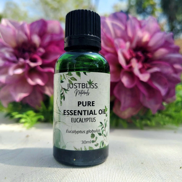 Organic Eucalyptus Globulus Essential Oil – Respiratory & Immune Support