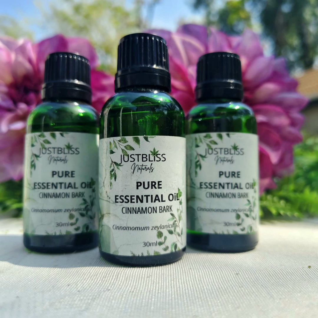 Cinnamon Bark Essential Oil (Standard) – Pure, Warming Aromatherapy