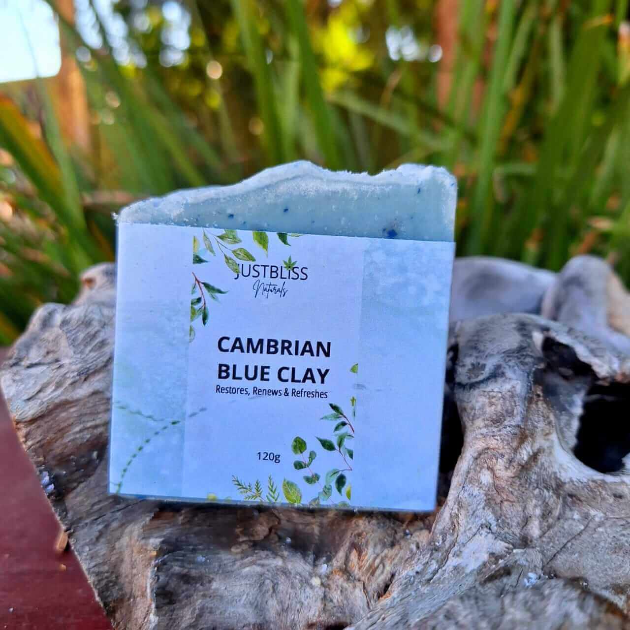 SOAP BAR: Cambrian Blue Clay. Detoxify & Moisturize - JUSTBLiSS Naturals