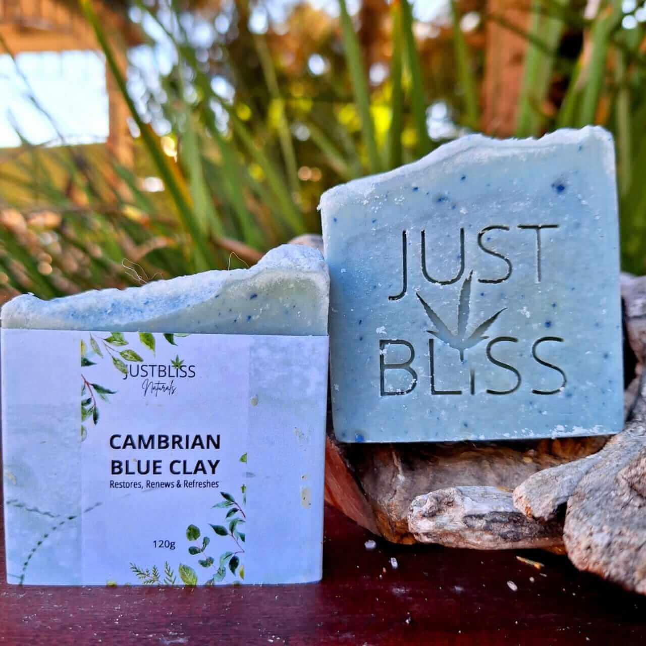 SOAP BAR: Cambrian Blue Clay. Detoxify & Moisturize - JUSTBLiSS Naturals