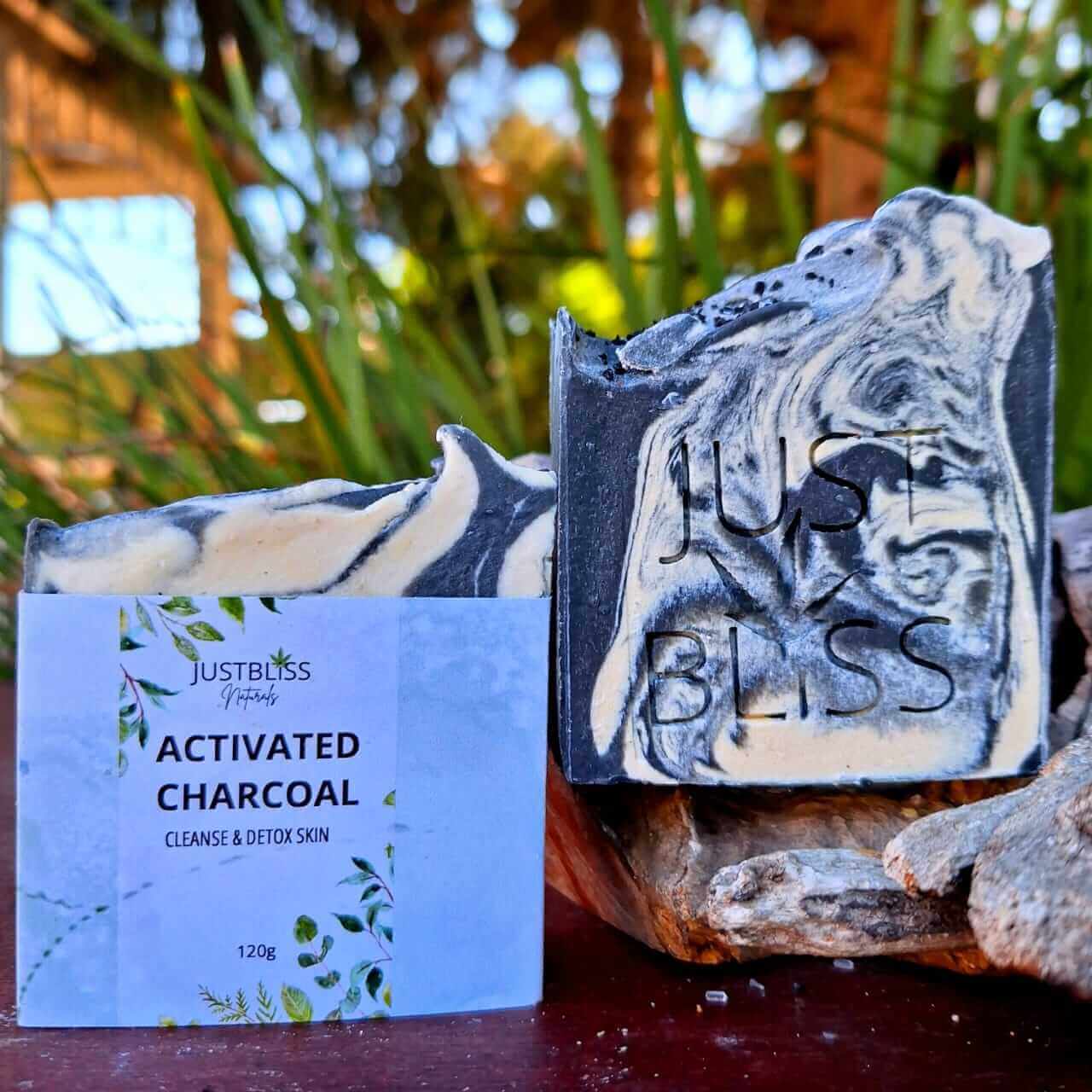 SOAP BAR: Activated Charcoal - JUSTBLiSS Naturals