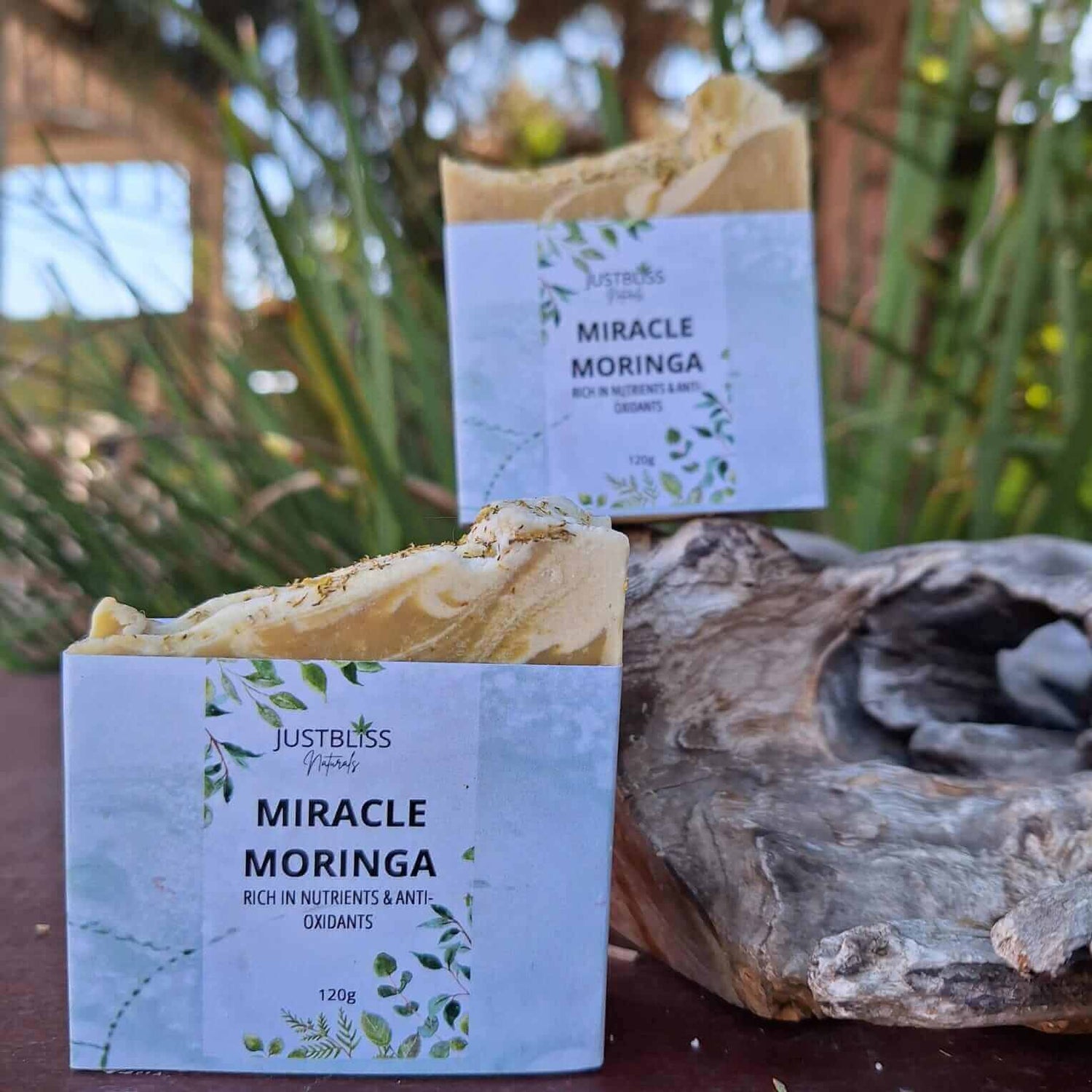 SOAP BAR: Miracle Moringa. - JUSTBLiSS Naturals