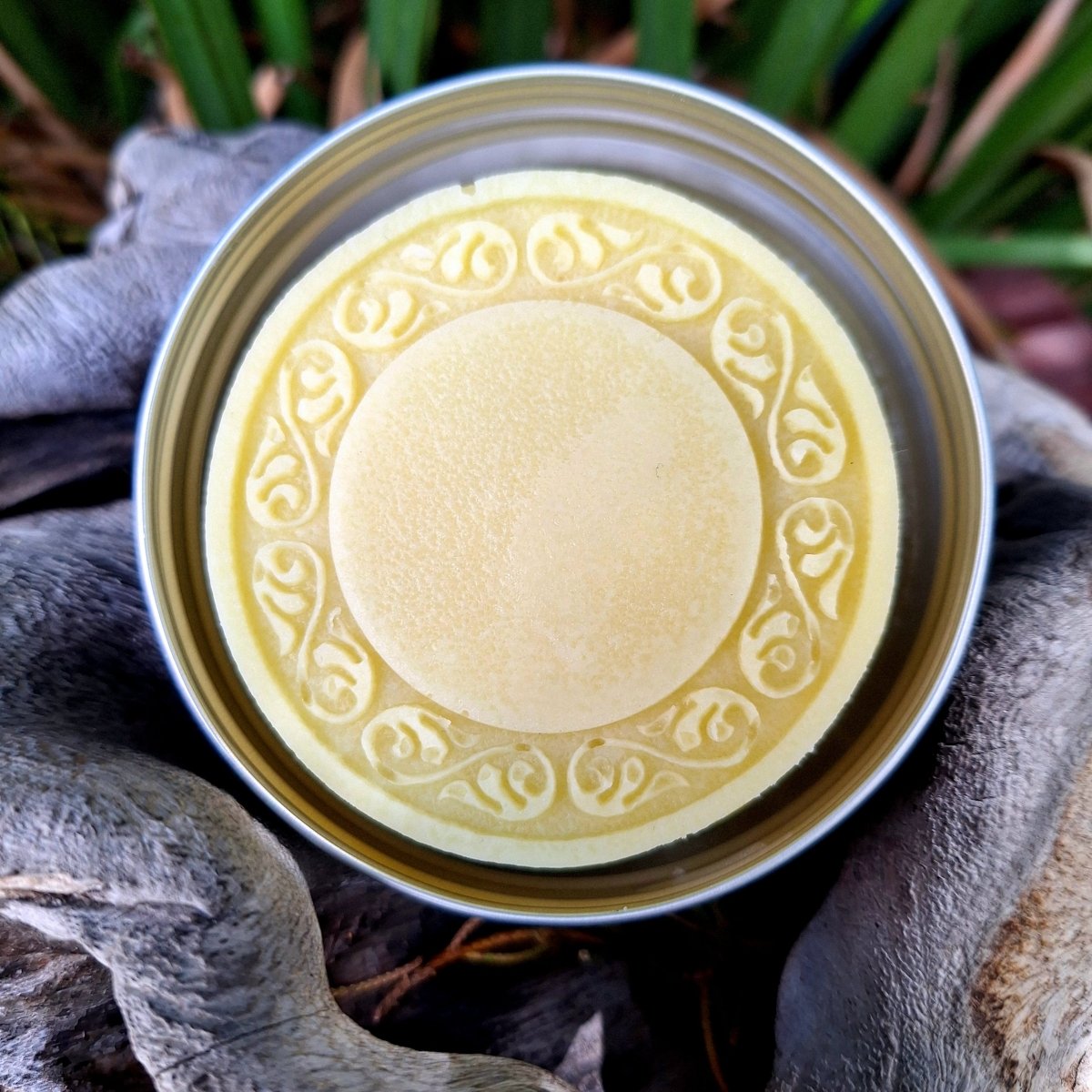 BATH & SHOWER: (Pure) Shower Lotion Bar - JUSTBLiSS Naturals