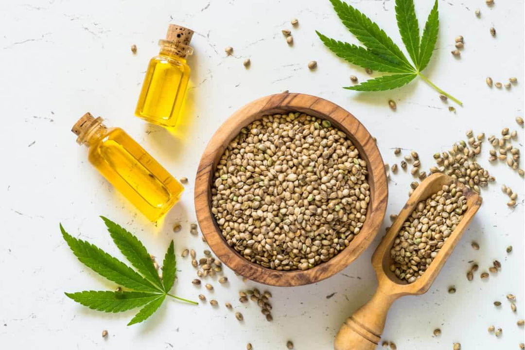 benefits-of-hemp-seeds_86db79b1-2f73-4a49-938b-ad1a47a3c7db - JUSTBLiSS Naturals