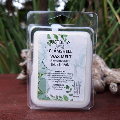 CLAMSHELL WAX MELTS:True Ocean - JUSTBLiSS Naturals