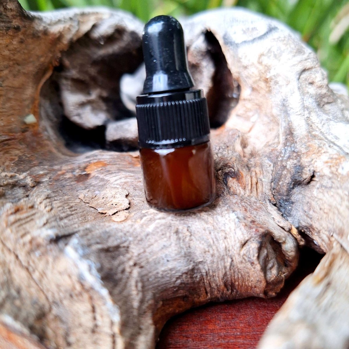 FACIAL OiL: Prickly Pear Seed Oil : (2 ml (Tester)) - JUSTBLiSS Naturals