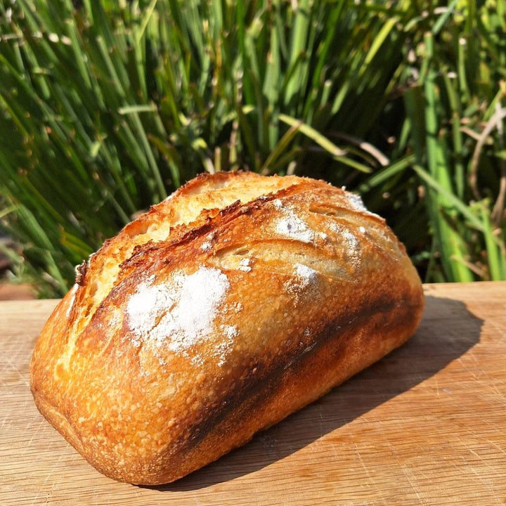 FRESH: Sour Dough Bread - JUSTBLiSS Naturals