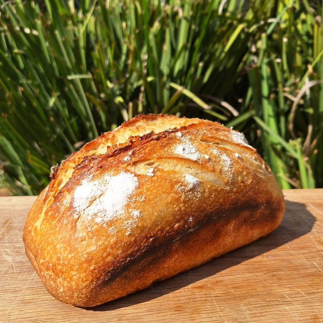 FRESH: Sour Dough Bread - JUSTBLiSS Naturals