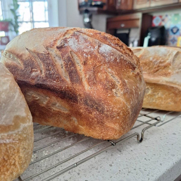FRESH: Sour Dough Bread - JUSTBLiSS Naturals