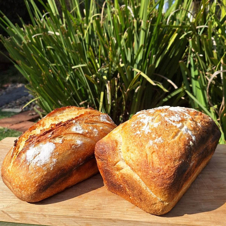 FRESH: Sour Dough Bread - JUSTBLiSS Naturals