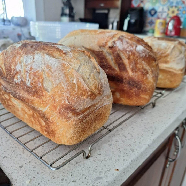 FRESH: Sour Dough Bread - JUSTBLiSS Naturals