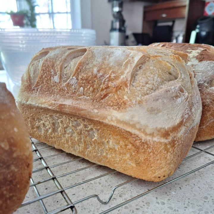 FRESH: Sour Dough Bread - JUSTBLiSS Naturals