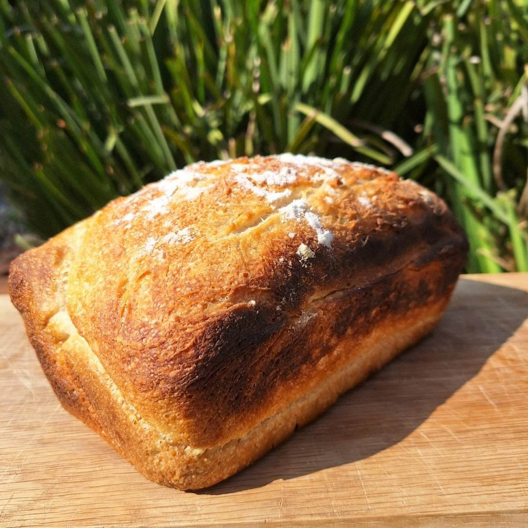 FRESH: Sour Dough Bread - JUSTBLiSS Naturals