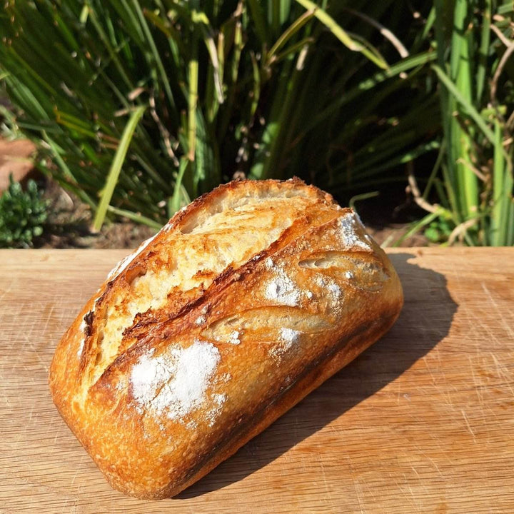 FRESH: Sour Dough Bread - JUSTBLiSS Naturals