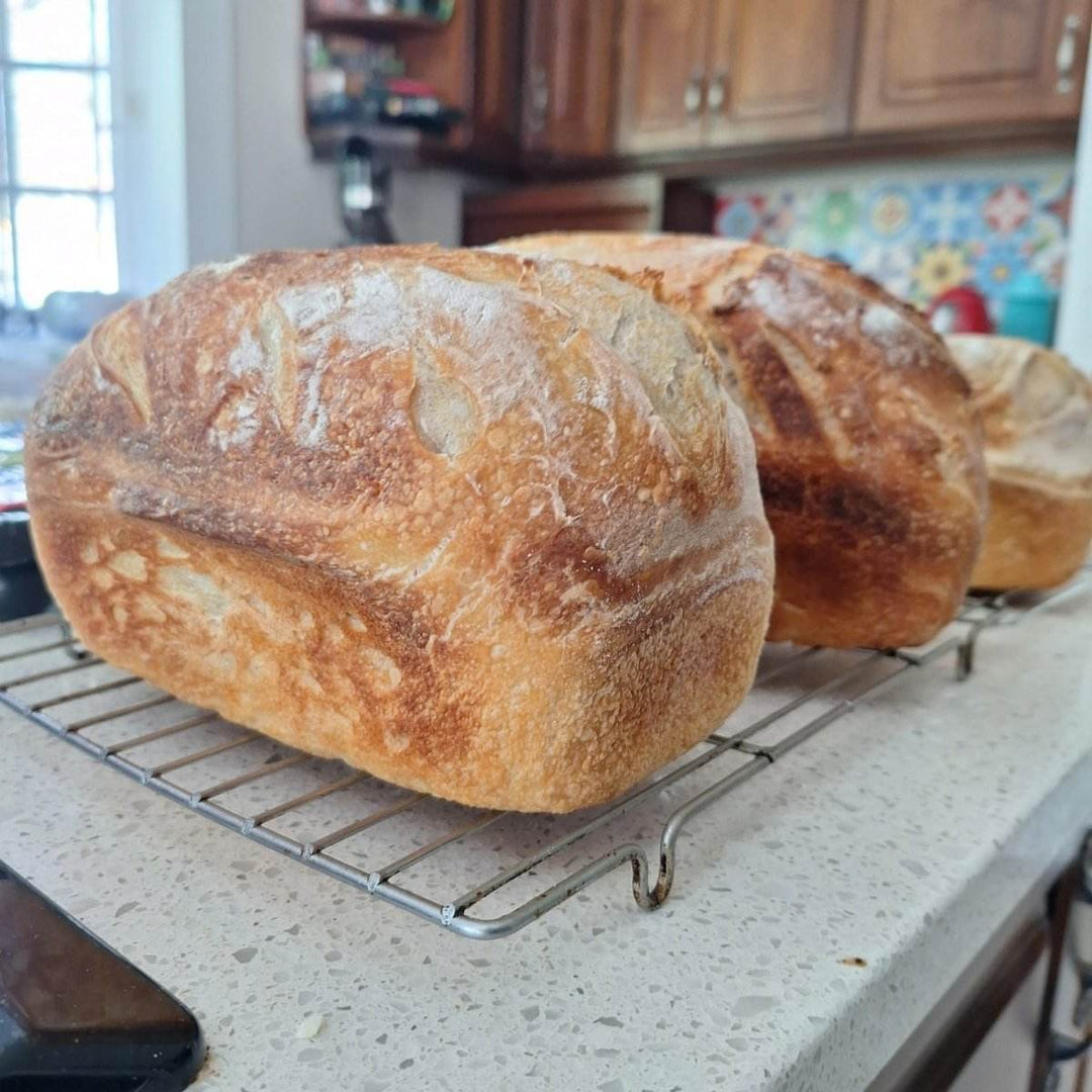 FRESH: Sour Dough Bread - JUSTBLiSS Naturals