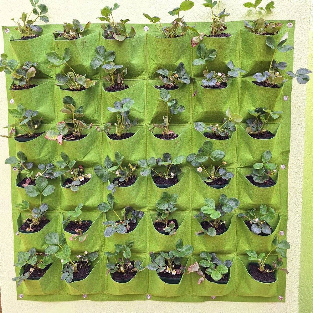 GARDEN: Living Wall - JUSTBLiSS Naturals