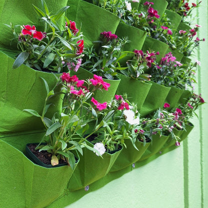 HOME: Living Wall - JUSTBLiSS Naturals