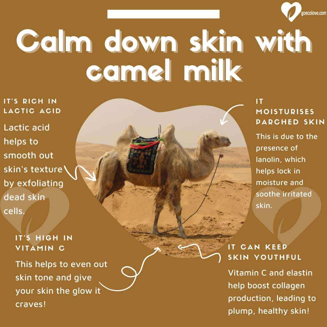 SOAP BAR: Camel Milk & Oatmeal (Sensitive Skin) - JUSTBLiSS Naturals