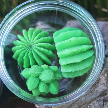 SOAPs IN A JAR: Looking Sharp Cactus (Glycerine) - JUSTBLiSS Naturals