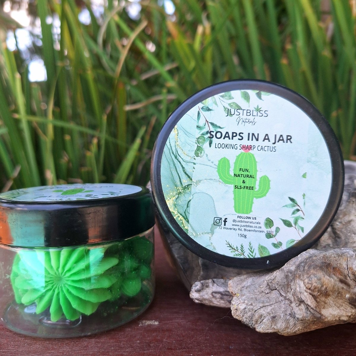 SOAPs IN A JAR: Looking Sharp Cactus (Glycerine) - JUSTBLiSS Naturals